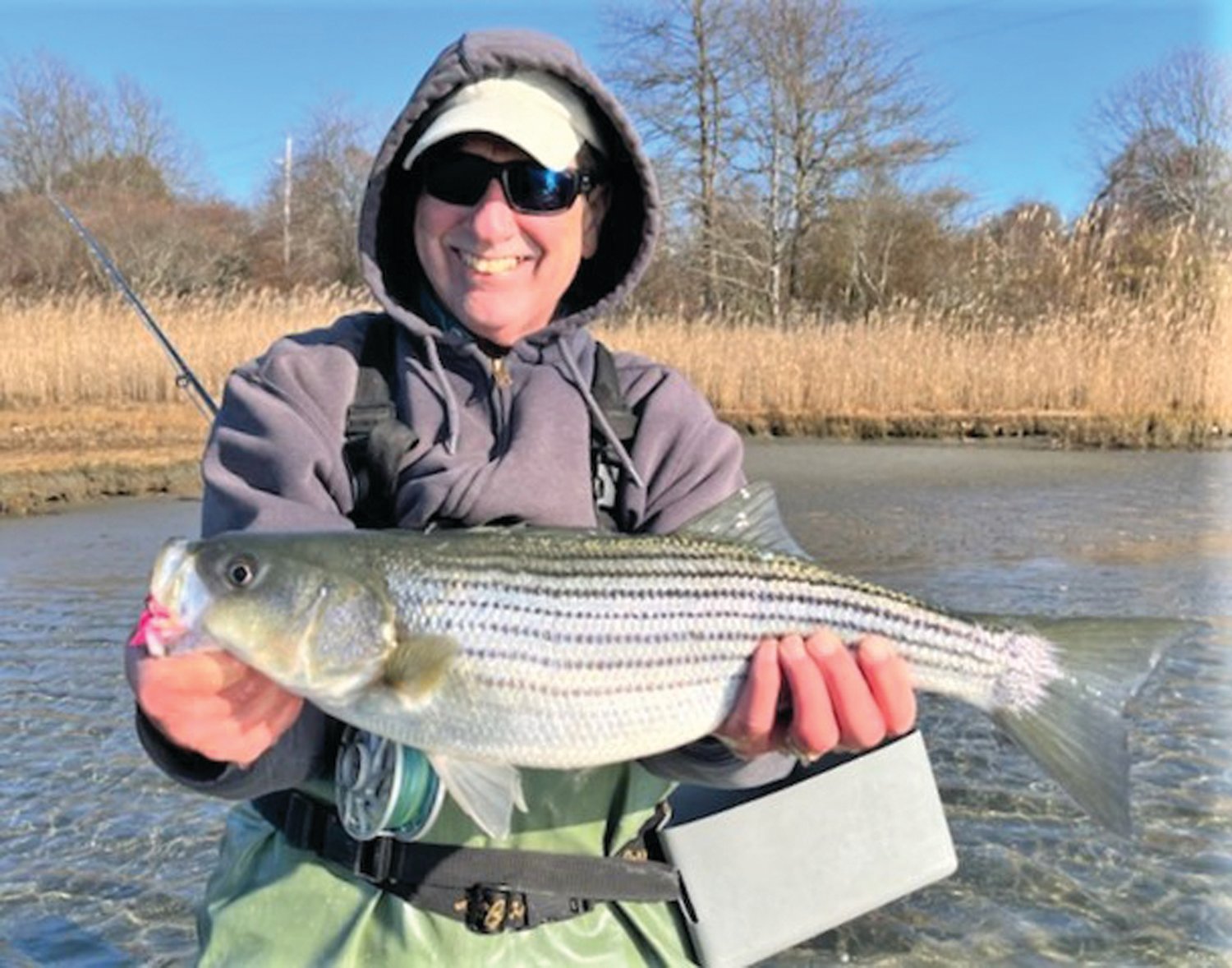 STRIPED BASS: Capt. Dave Monti with a plump striped bass caught in Narrow River, Narragansett at the end of last week with fishing guide/instructor Ed Lombardo. (Submitted photo)